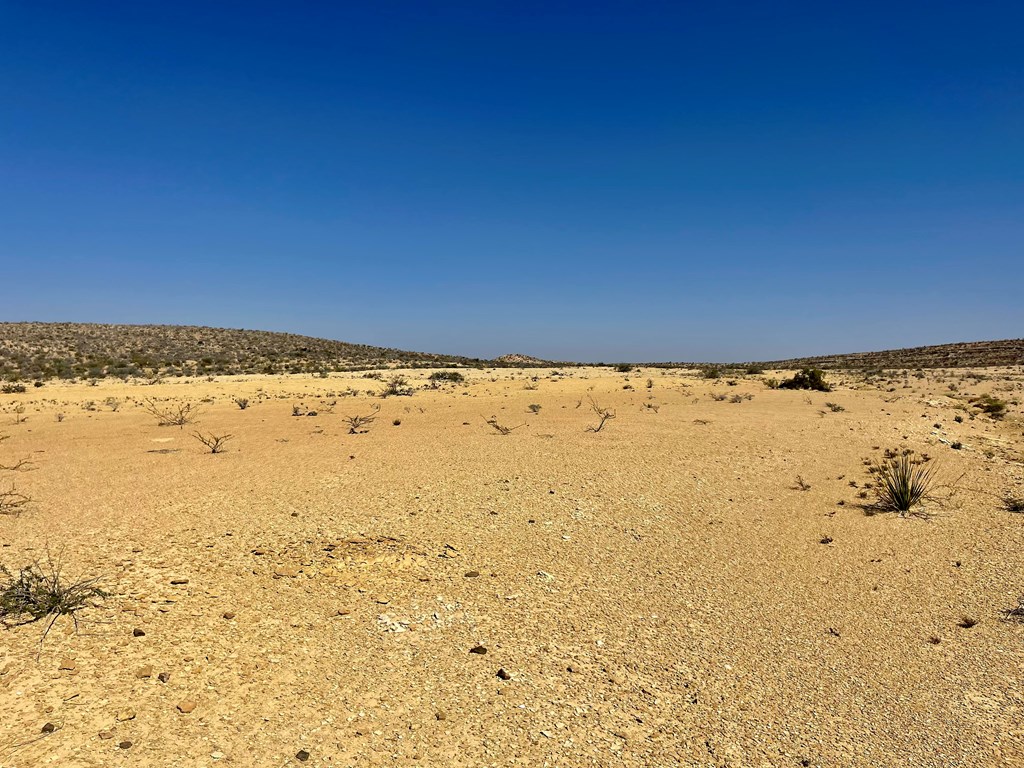 F 709 Wallace, Terlingua, Texas image 8