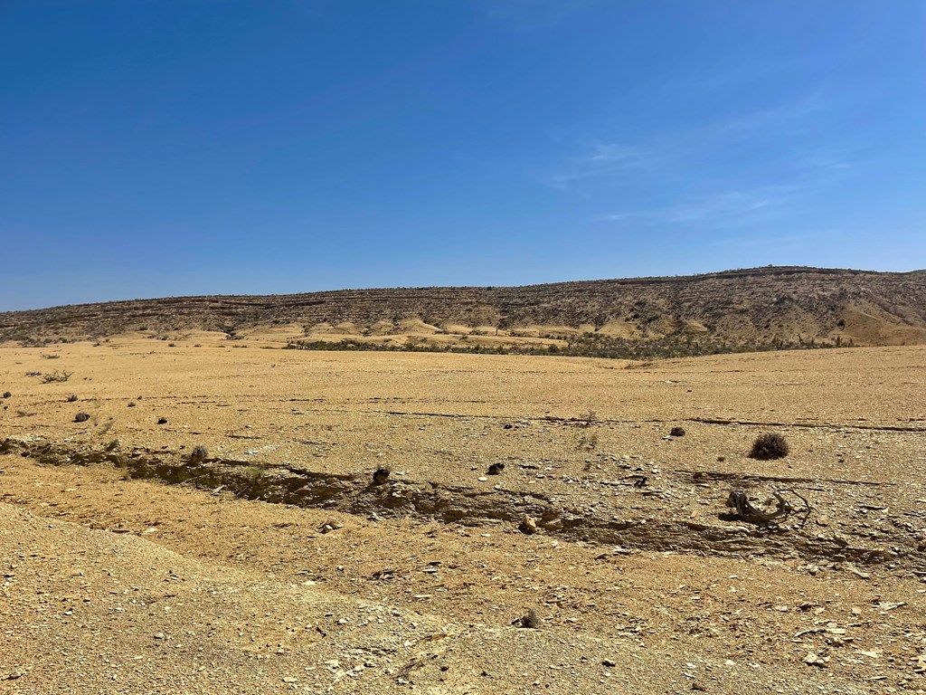 F 709 Wallace, Terlingua, Texas image 6