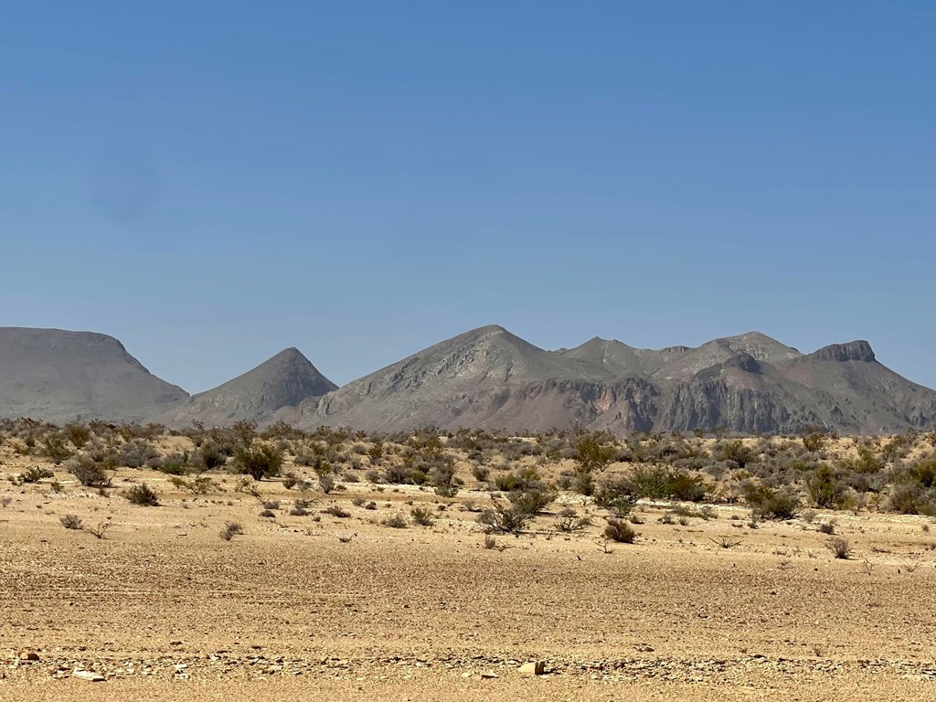 F 709 Wallace, Terlingua, Texas image 3