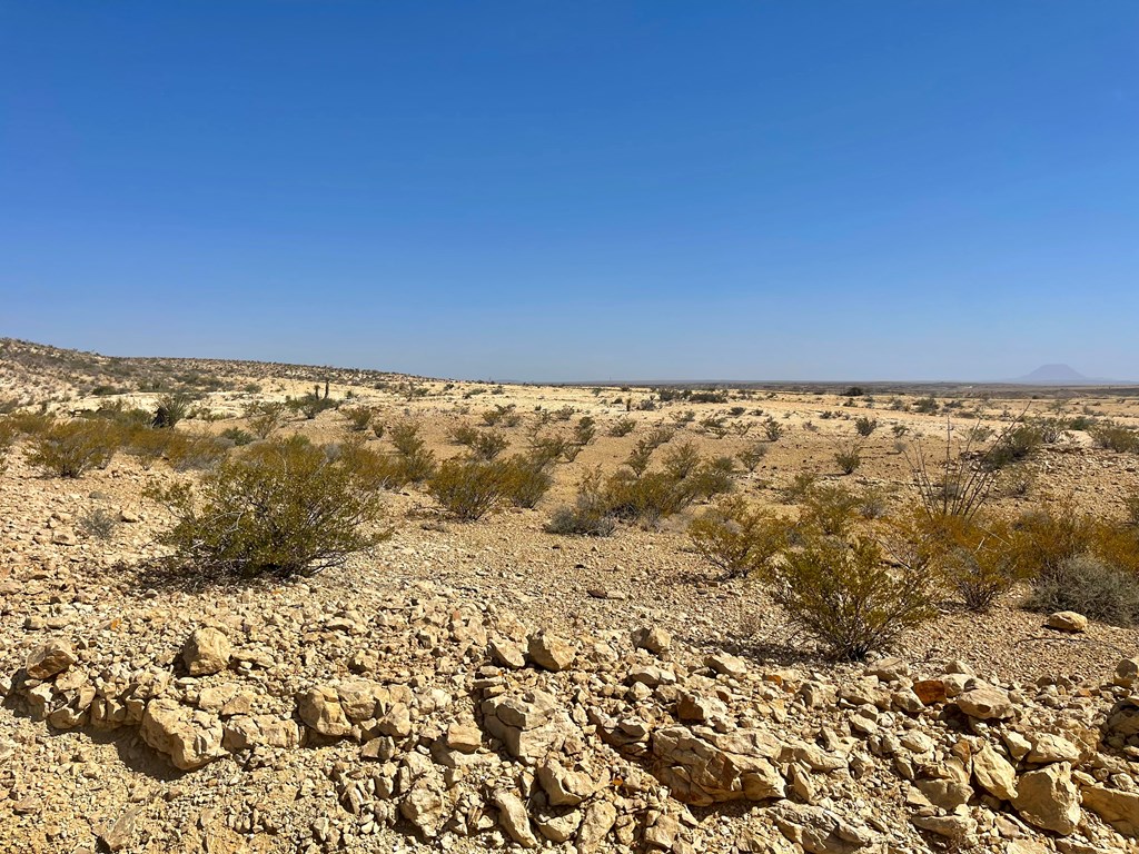 F 709 Wallace, Terlingua, Texas image 9