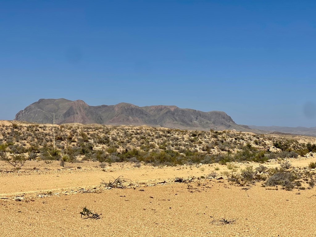 F 709 Wallace, Terlingua, Texas image 2