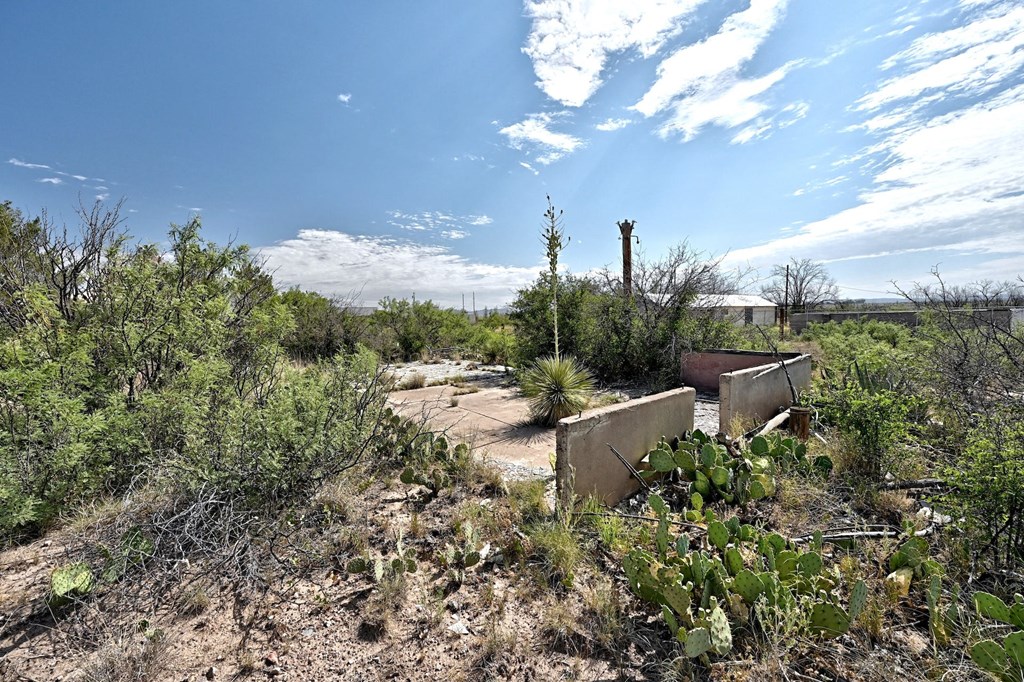 1008 N Ordenar St, Marfa, Texas image 7