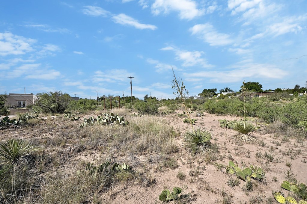 1008 N Ordenar St, Marfa, Texas image 5