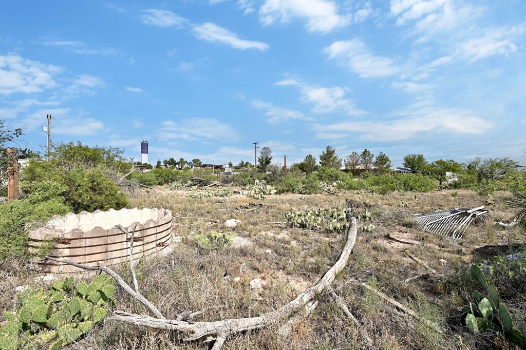 1008 N Ordenar St, Marfa, Texas image 10