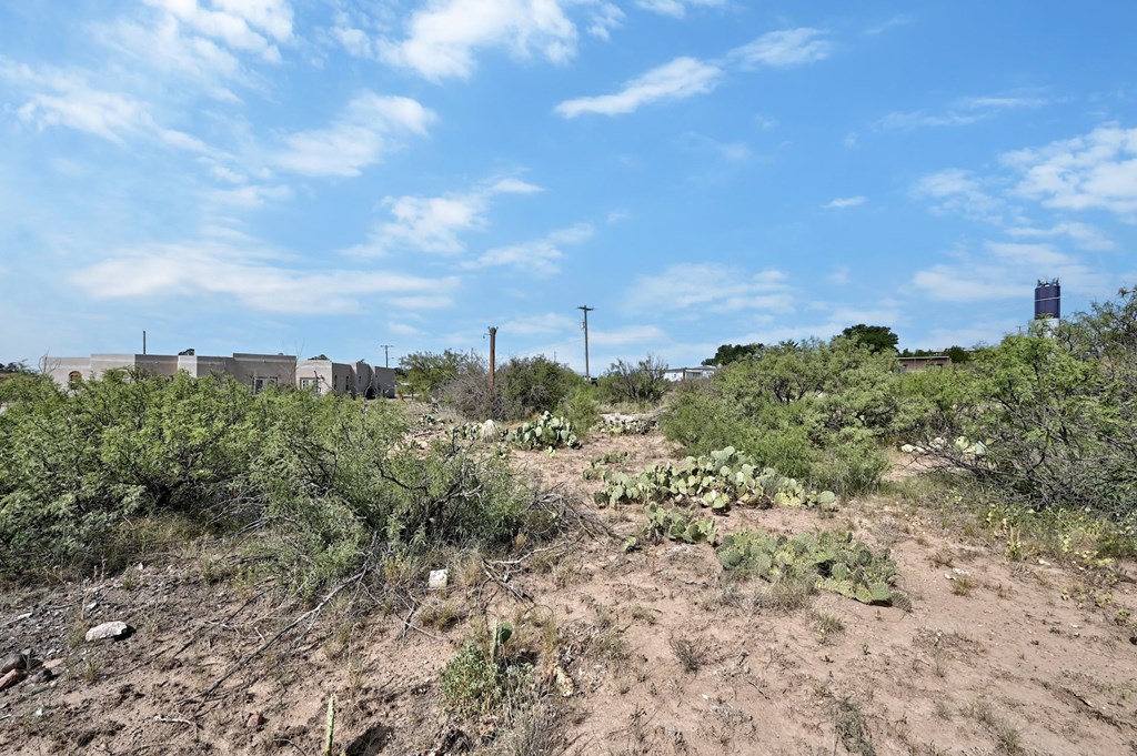 1008 N Ordenar St, Marfa, Texas image 11