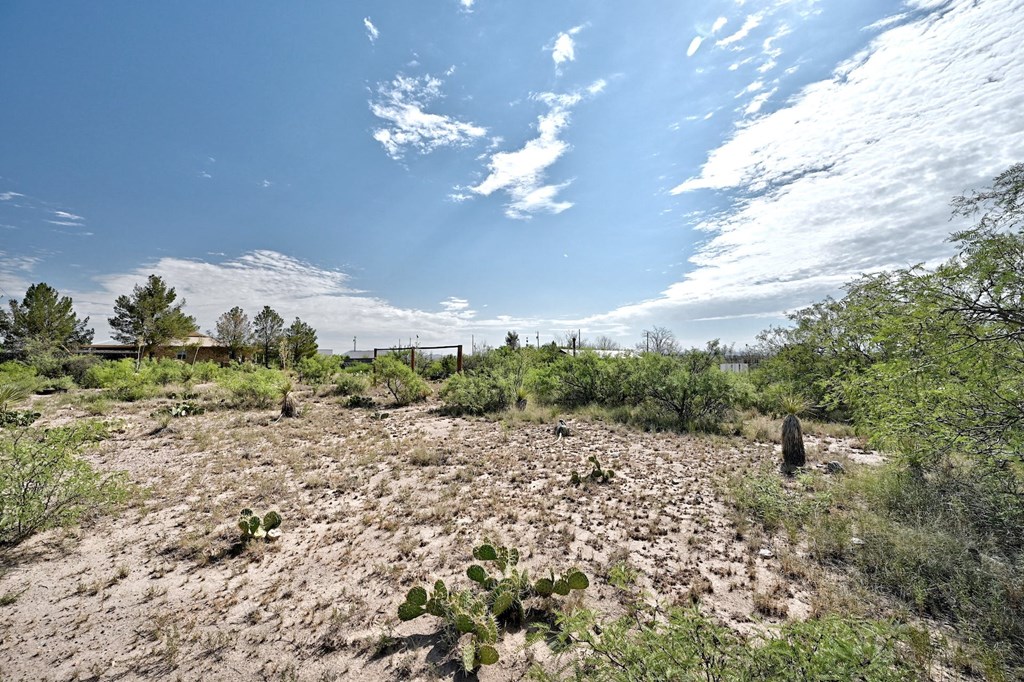 1008 N Ordenar St, Marfa, Texas image 2