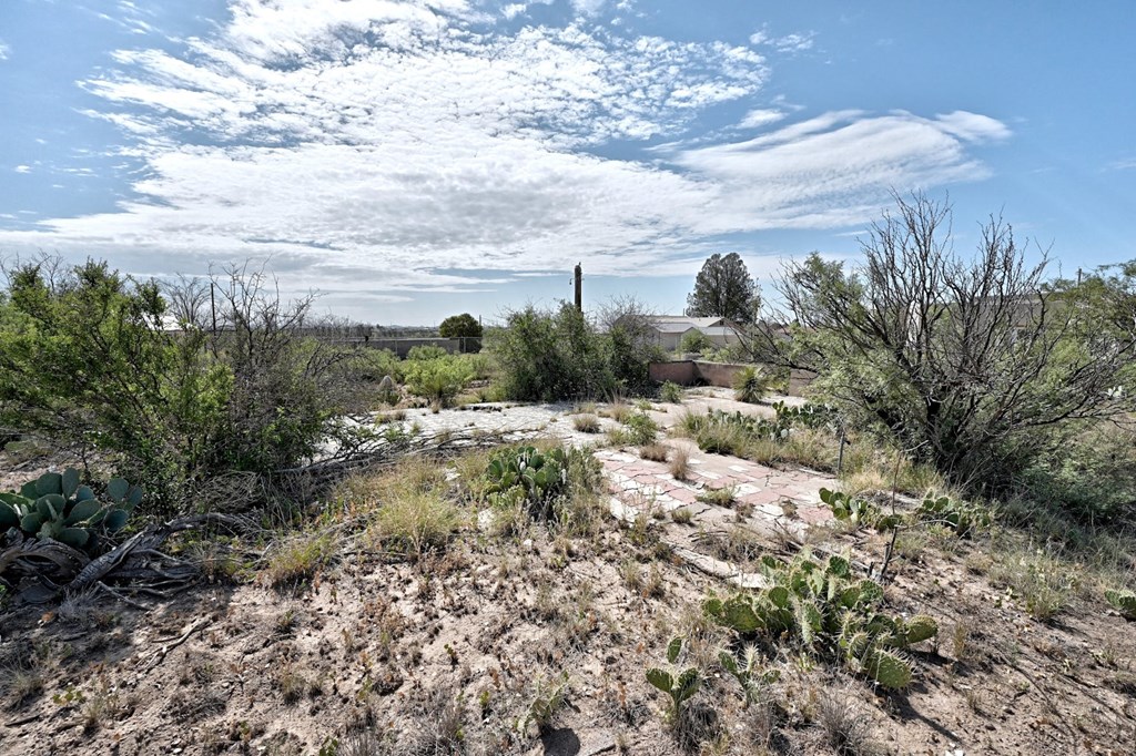 1008 N Ordenar St, Marfa, Texas image 6