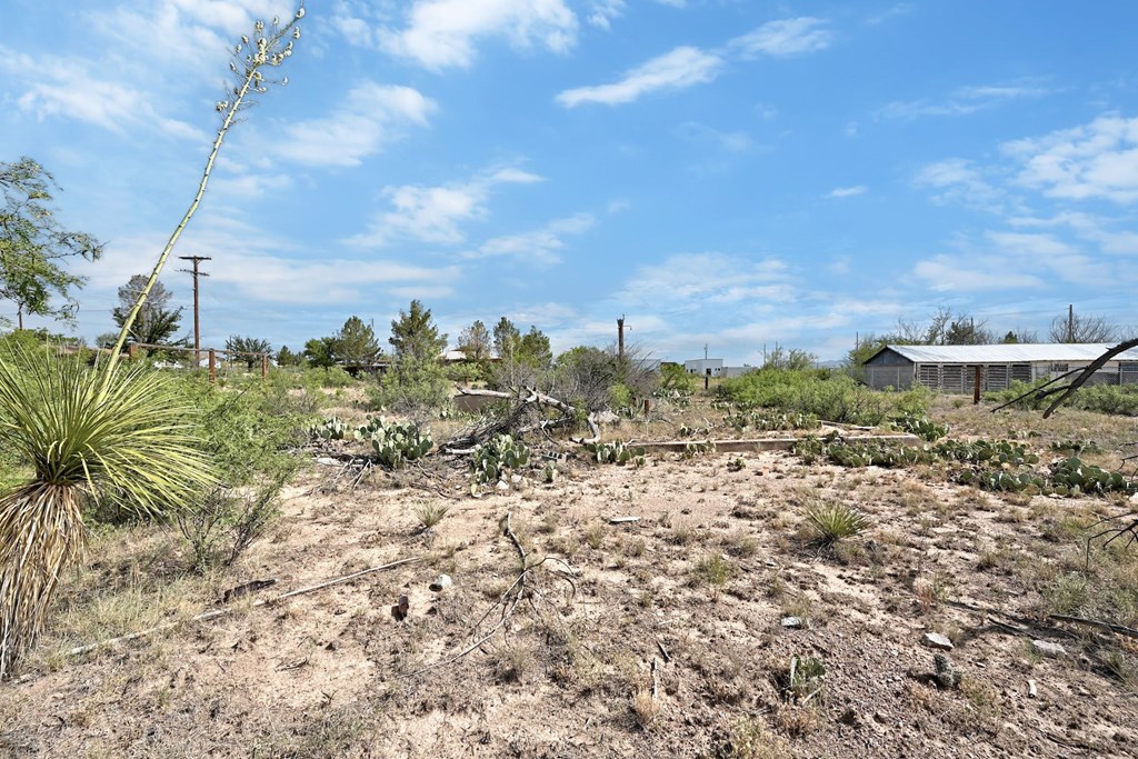 1008 N Ordenar St, Marfa, Texas image 9