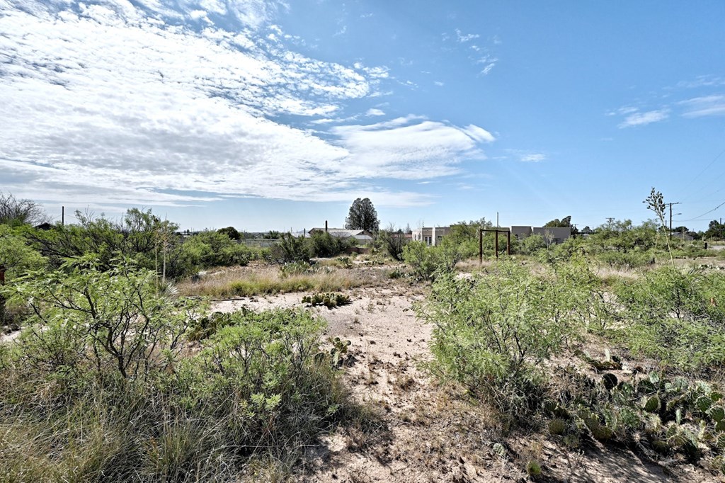 1008 N Ordenar St, Marfa, Texas image 4