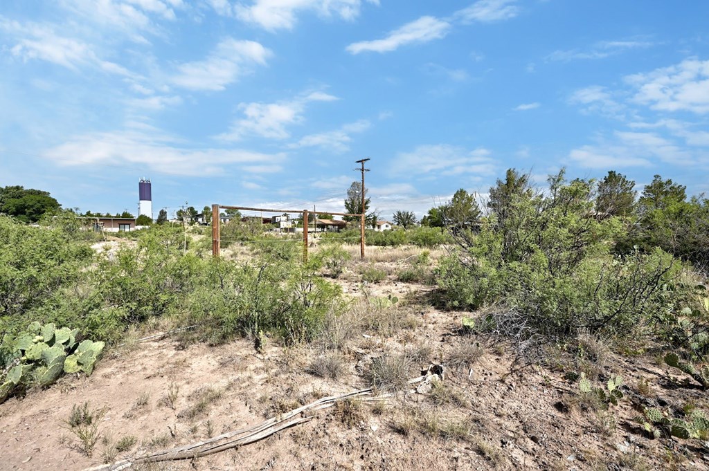 1008 N Ordenar St, Marfa, Texas image 8