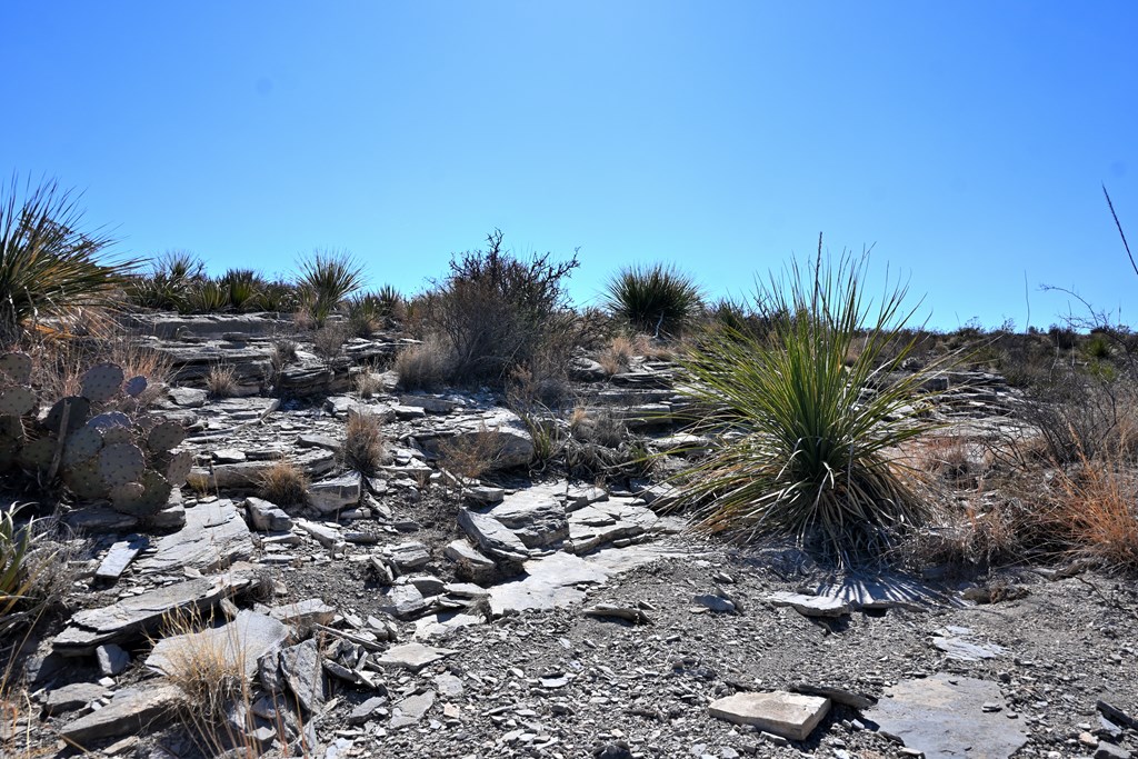 6126 Mason, Terlingua, Texas image 21