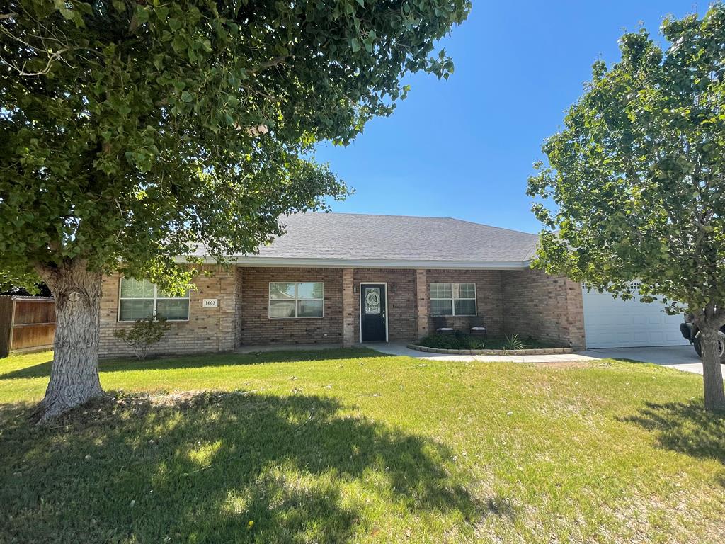 1603 S Leon, Monahans, Texas image 1