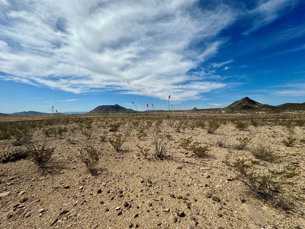 LOT 24 Salt Grass Draw, Terlingua, Texas image 6