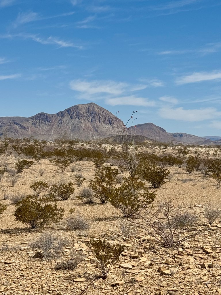 LOT 24 Salt Grass Draw, Terlingua, Texas image 2