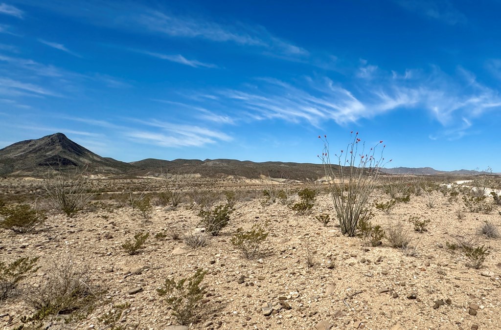 LOT 24 Salt Grass Draw, Terlingua, Texas image 5