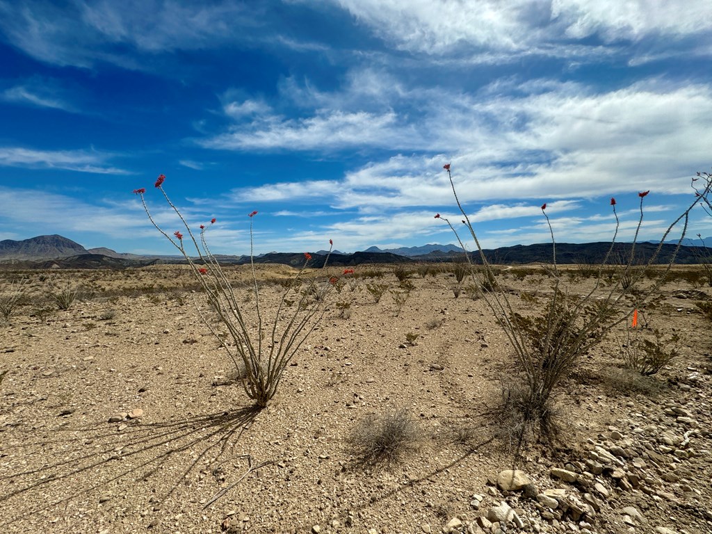 LOT 24 Salt Grass Draw, Terlingua, Texas image 7