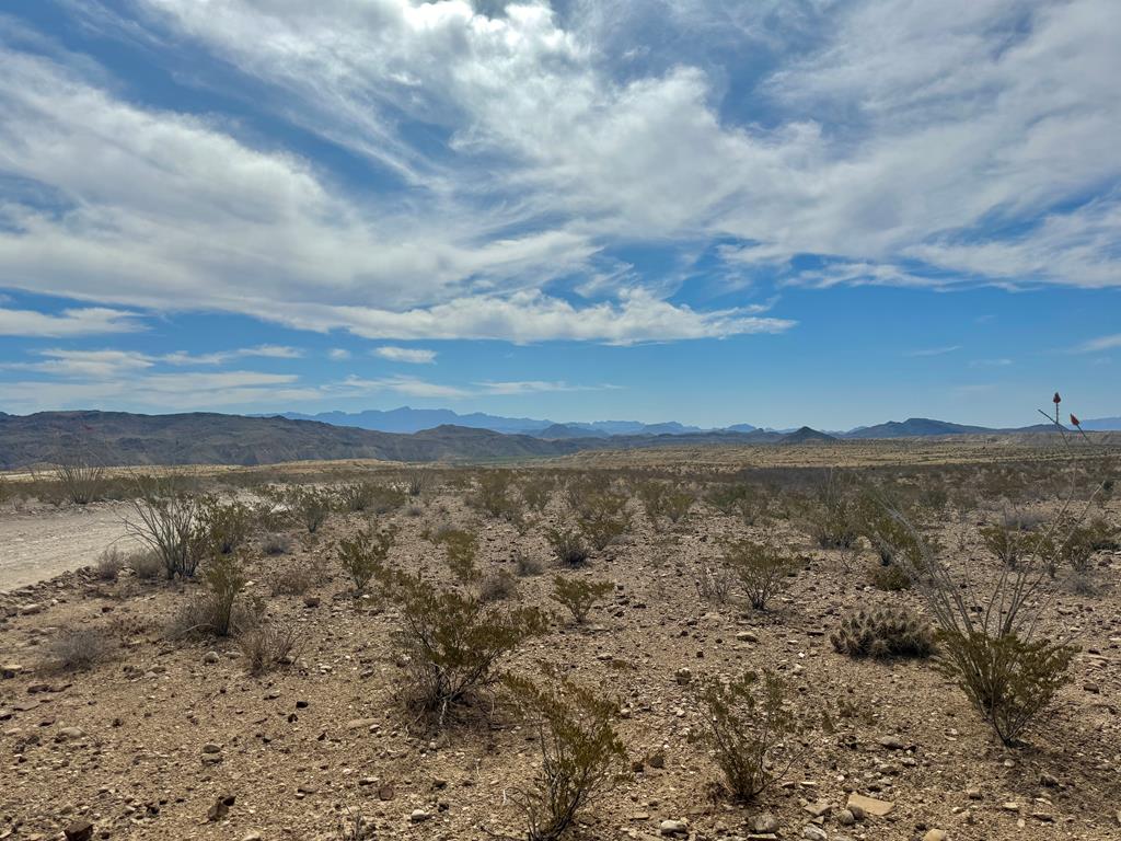 LOT 24 Salt Grass Draw, Terlingua, Texas image 1