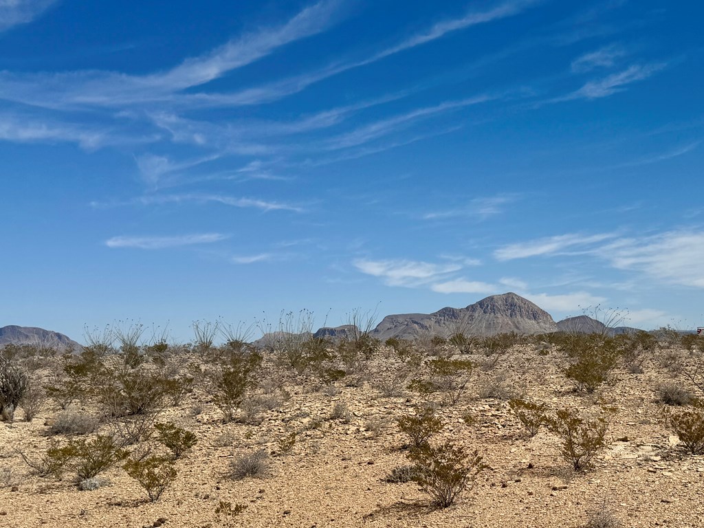 LOT 24 Salt Grass Draw, Terlingua, Texas image 3