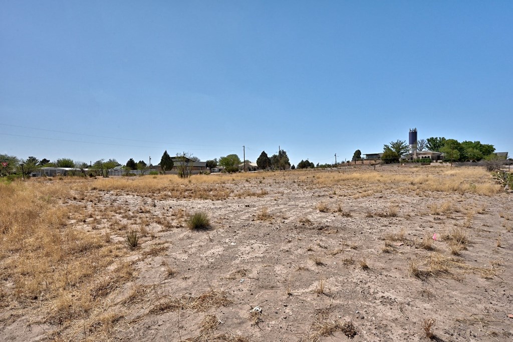 320 E Mendias Street, Marfa, Texas image 3