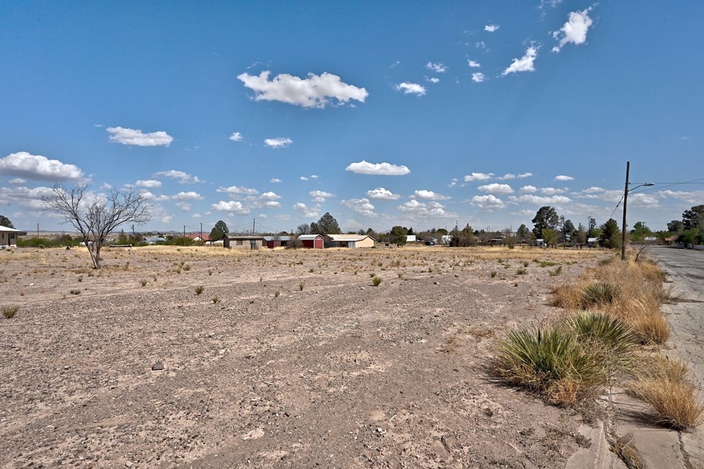 320 E Mendias Street, Marfa, Texas image 7