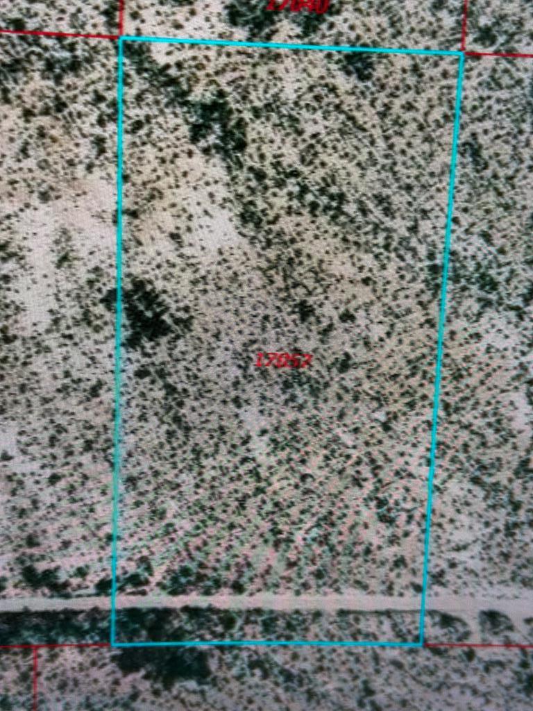 17056-59 Detour Ave, Terlingua, Texas image 3