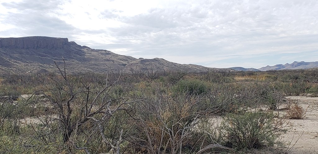 C216 Iwo Jima Pass, Terlingua, Texas image 10