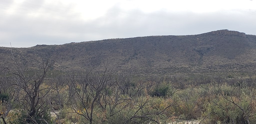 C216 Iwo Jima Pass, Terlingua, Texas image 9