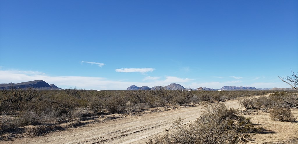 NC 207 E Estes Ave, Terlingua, Texas image 16