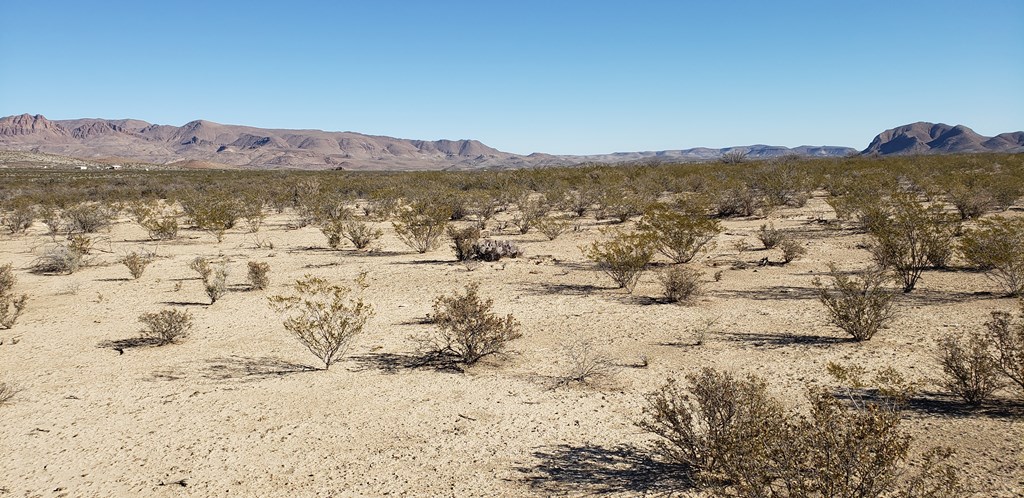 NC 207 E Estes Ave, Terlingua, Texas image 13