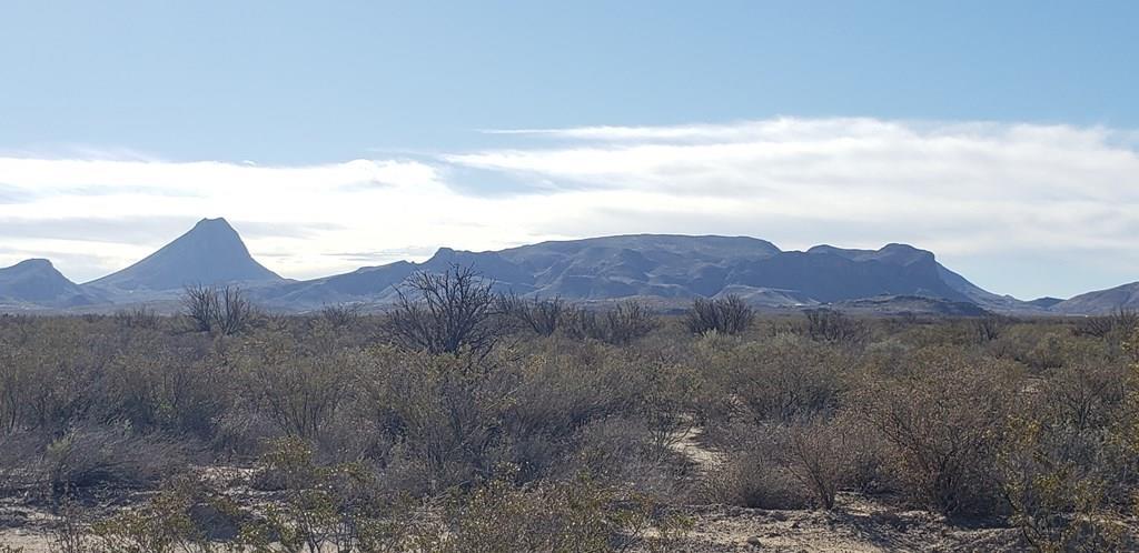 NC 207 E Estes Ave, Terlingua, Texas image 6