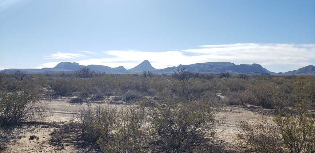 NC 207 E Estes Ave, Terlingua, Texas image 14