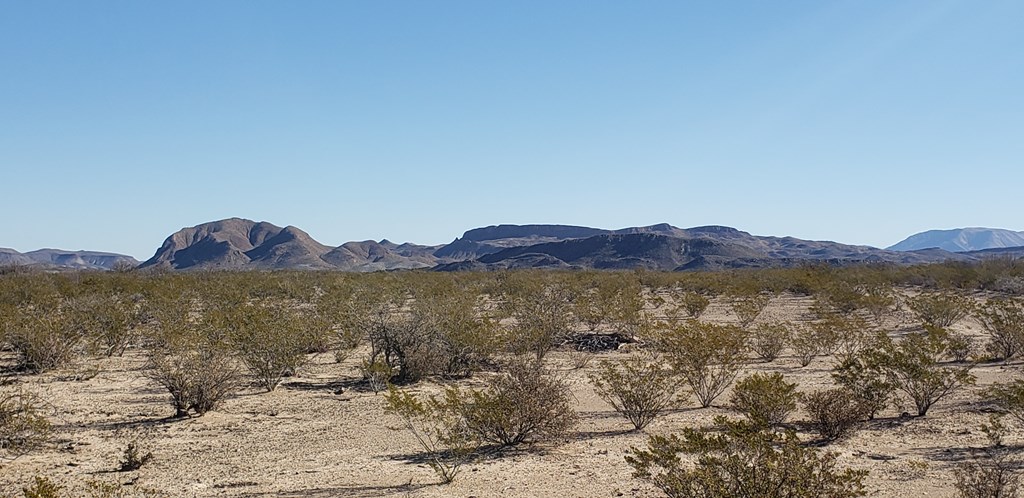 NC 207 E Estes Ave, Terlingua, Texas image 10