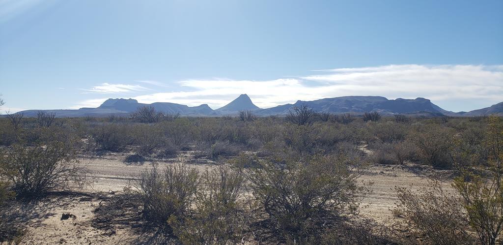 NC 207 E Estes Ave, Terlingua, Texas image 8