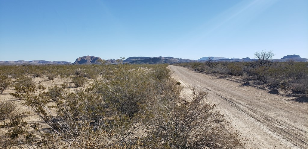 NC 207 E Estes Ave, Terlingua, Texas image 7