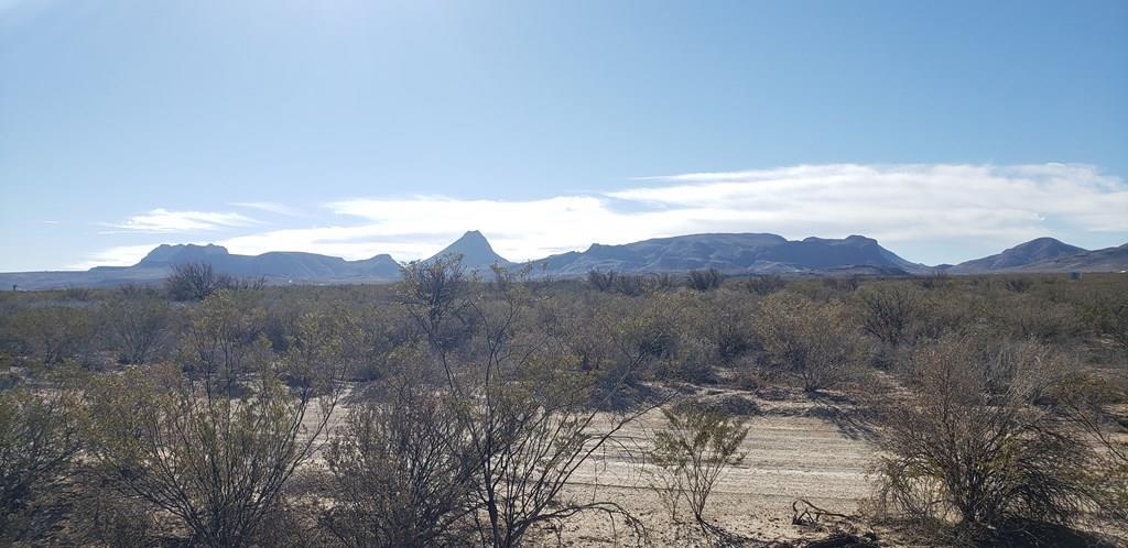 NC 207 E Estes Ave, Terlingua, Texas image 2