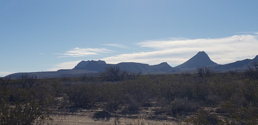 NC 207 E Estes Ave, Terlingua, Texas image 9