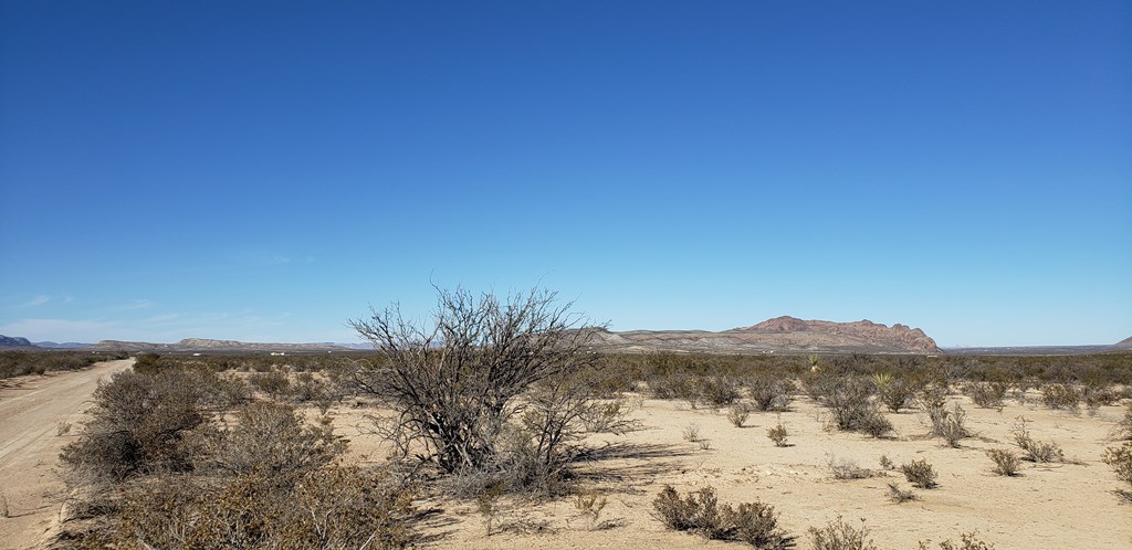 NC 207 E Estes Ave, Terlingua, Texas image 17