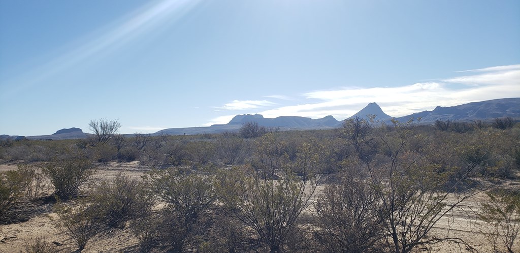 NC 207 E Estes Ave, Terlingua, Texas image 11