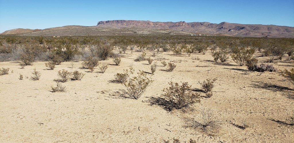 NC 207 E Estes Ave, Terlingua, Texas image 12