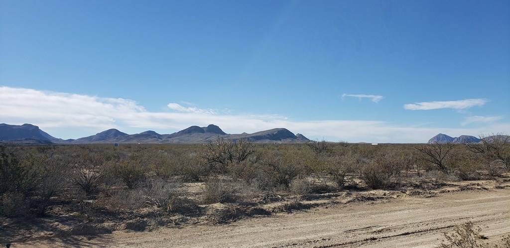 NC 207 E Estes Ave, Terlingua, Texas image 15