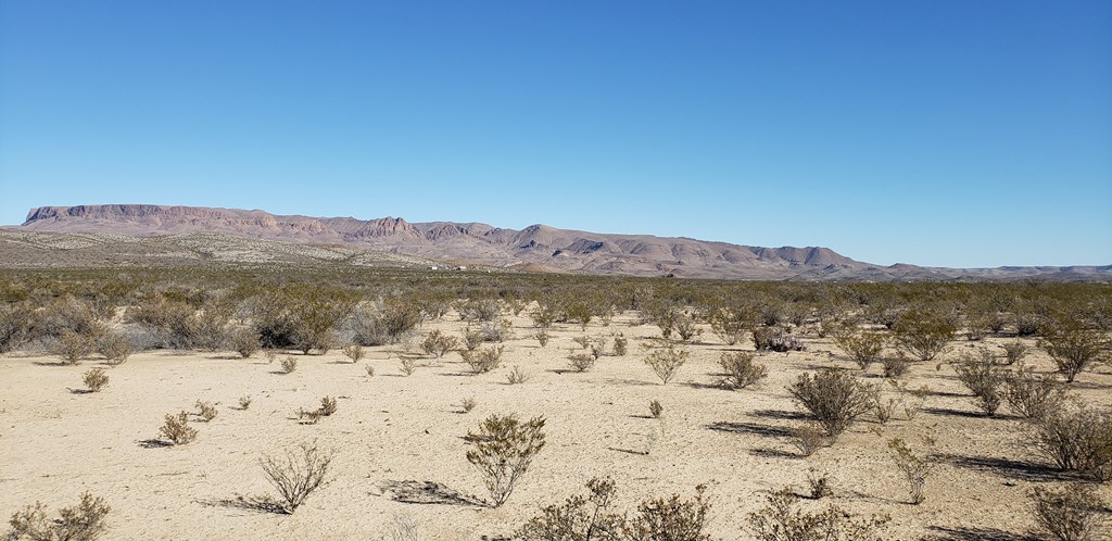 NC 207 E Estes Ave, Terlingua, Texas image 20