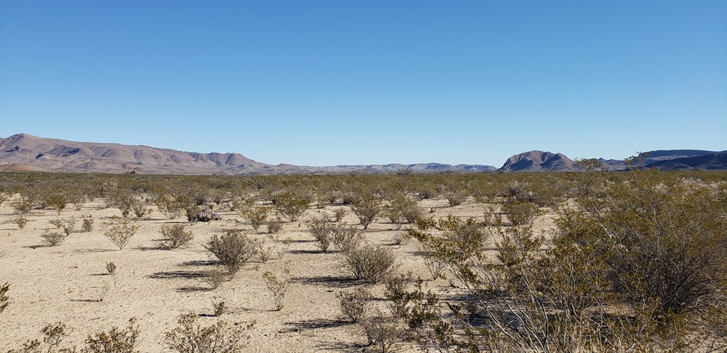 NC 207 E Estes Ave, Terlingua, Texas image 21