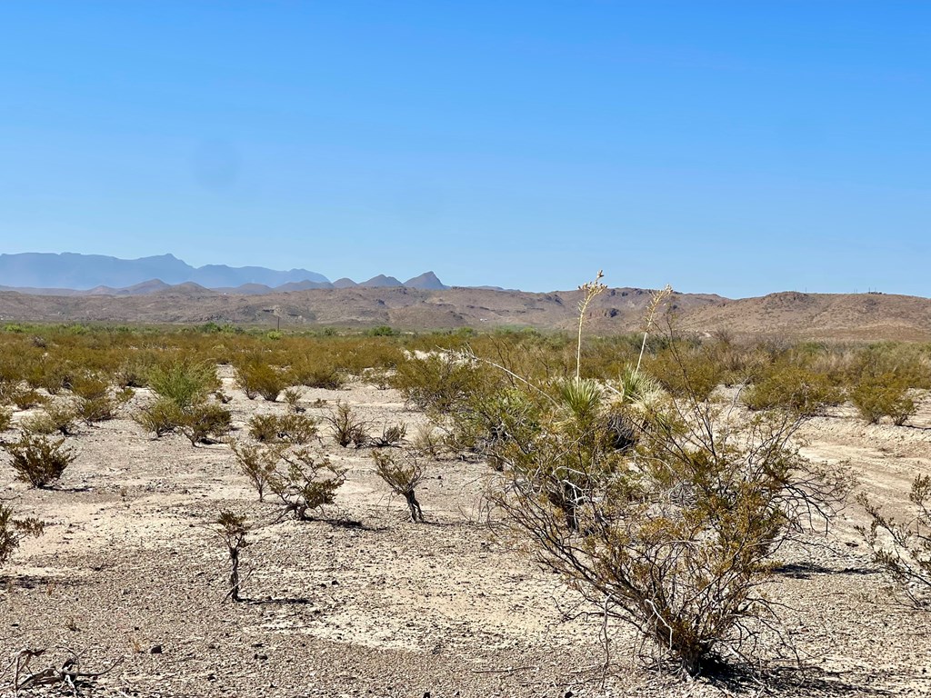 C 128 Private Rd, Terlingua, Texas image 4