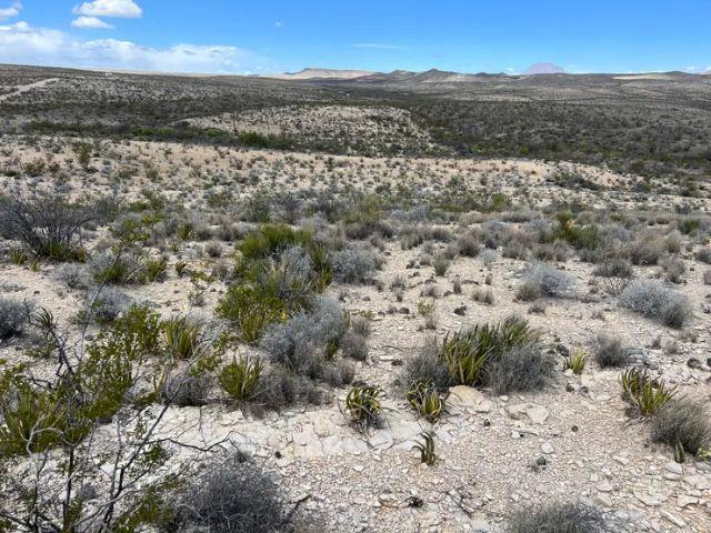 21231 Slate Springs, Terlingua, Texas image 1