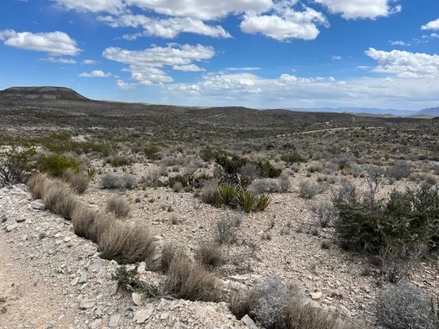 21231 Slate Springs, Terlingua, Texas image 3