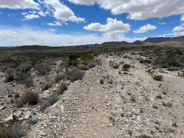 21231 Slate Springs, Terlingua, Texas image 4