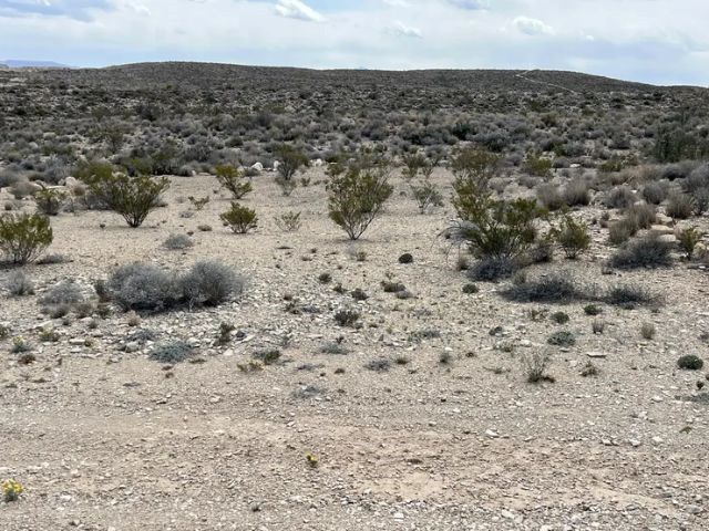 21231 Slate Springs, Terlingua, Texas image 8