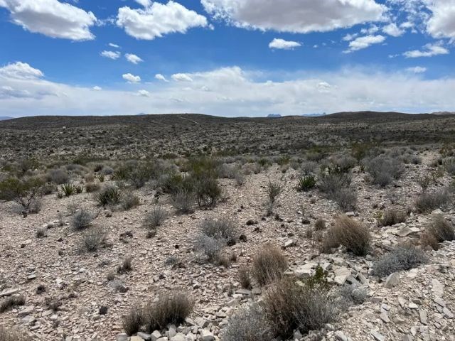 21231 Slate Springs, Terlingua, Texas image 5