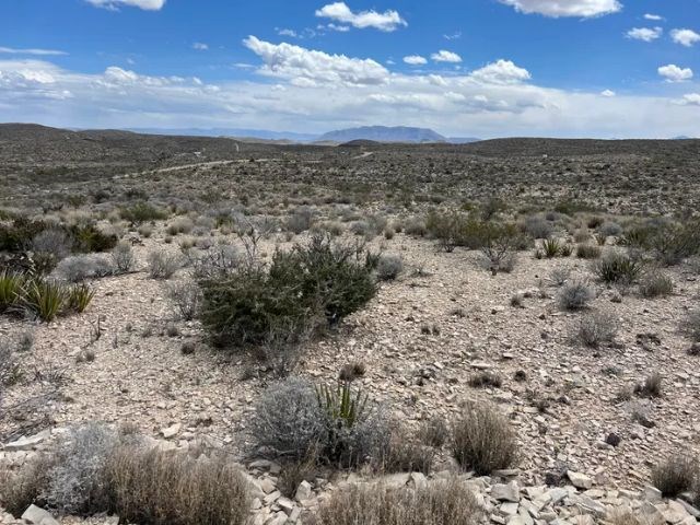 21231 Slate Springs, Terlingua, Texas image 7