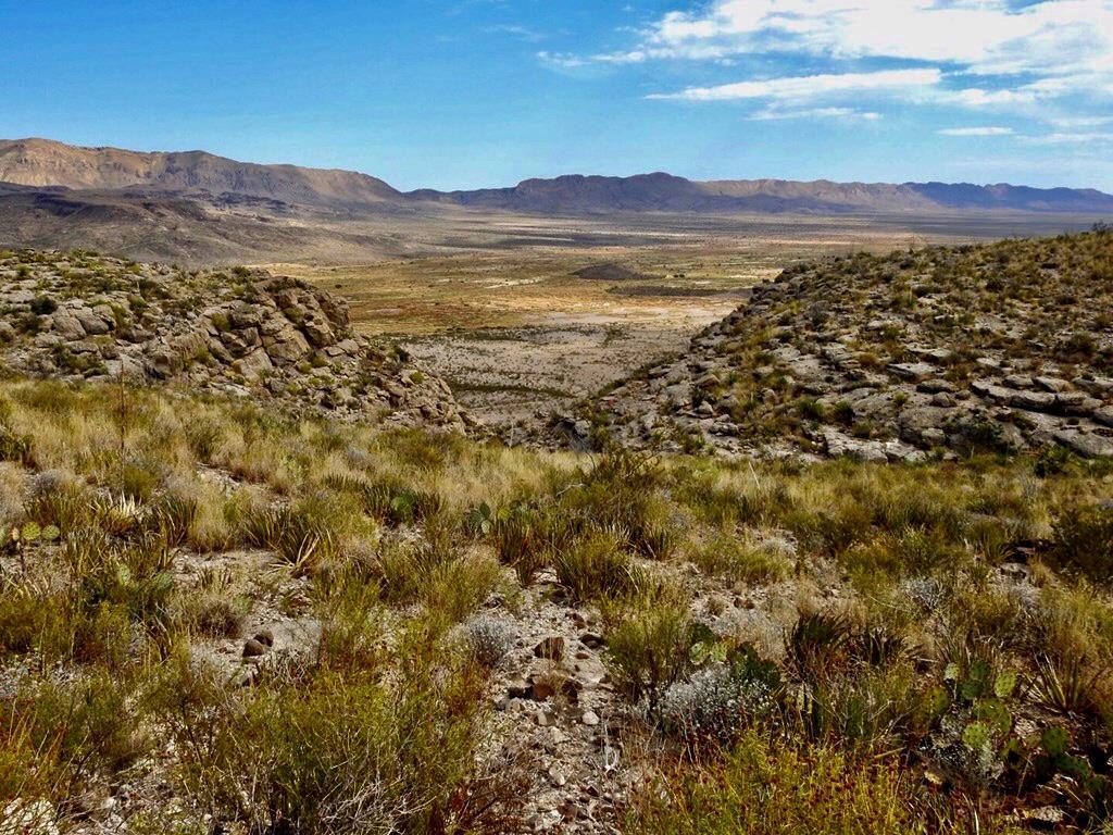 6785 Cedar Springs Road, Terlingua, Texas image 3